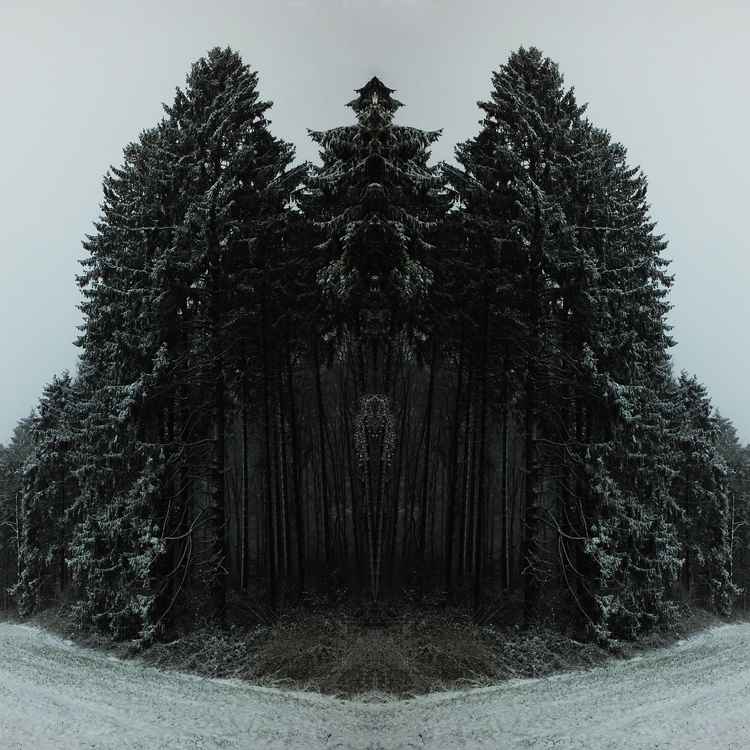 Gespiegelter Wald