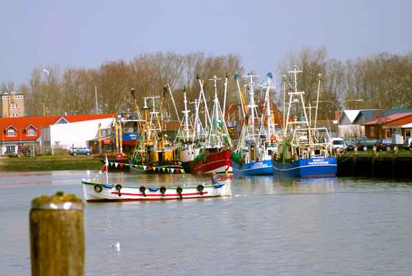 Krabbenkutter im Hafen