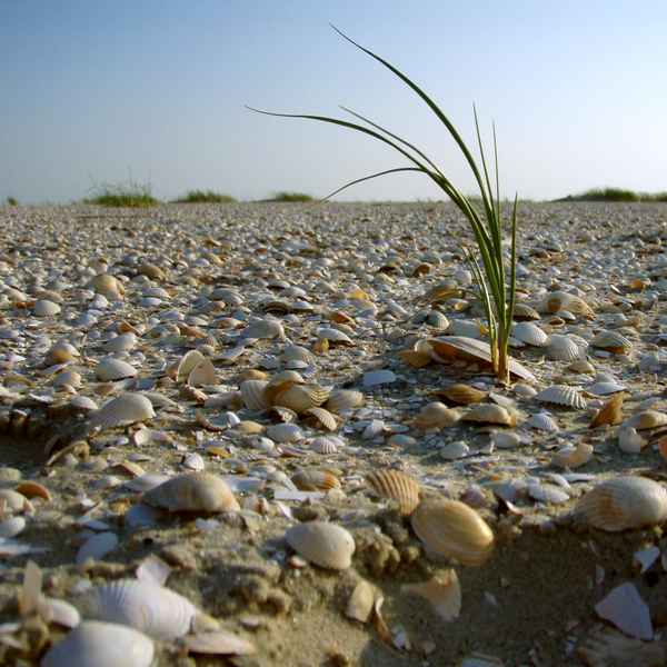 Am Strand