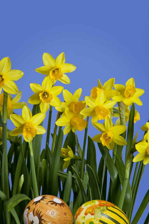 Frohe Ostern