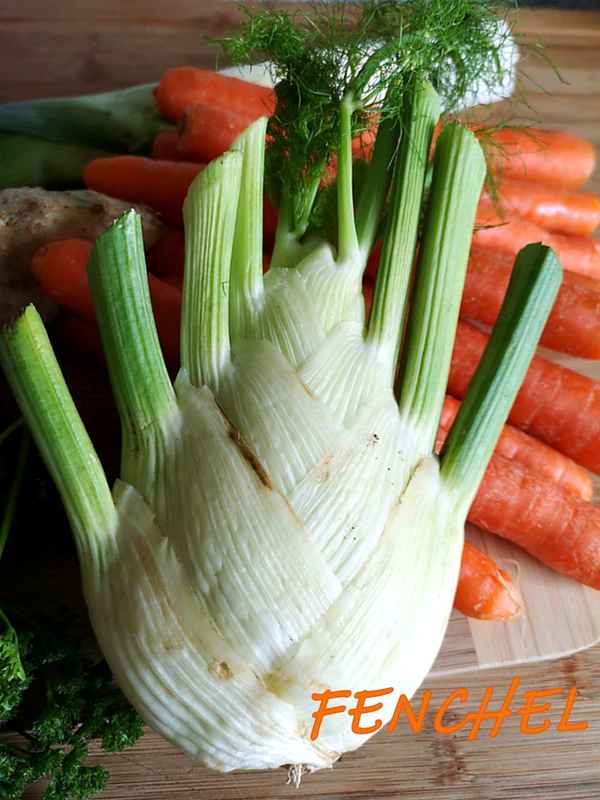 Fenchel