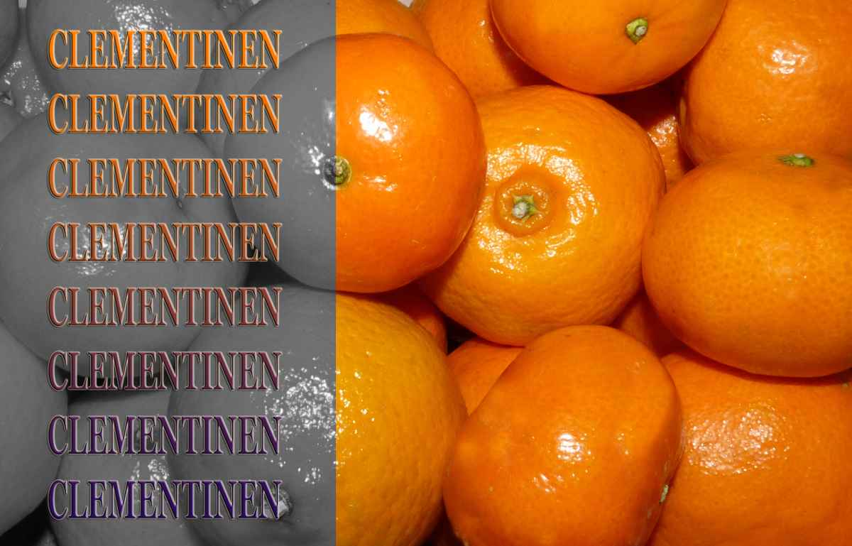 Clementinen 2
