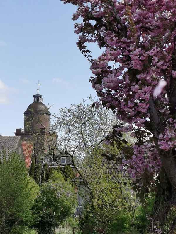 Kirschblüte