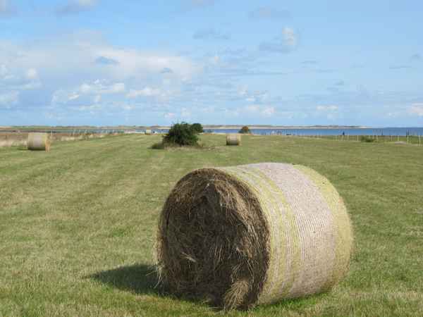Wattseite auf der Insel Amrum
