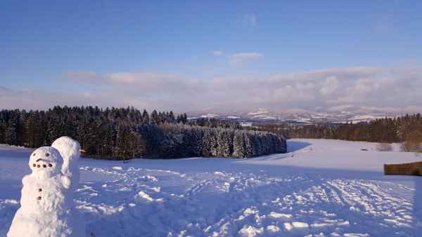 Schneemännerlandschaft