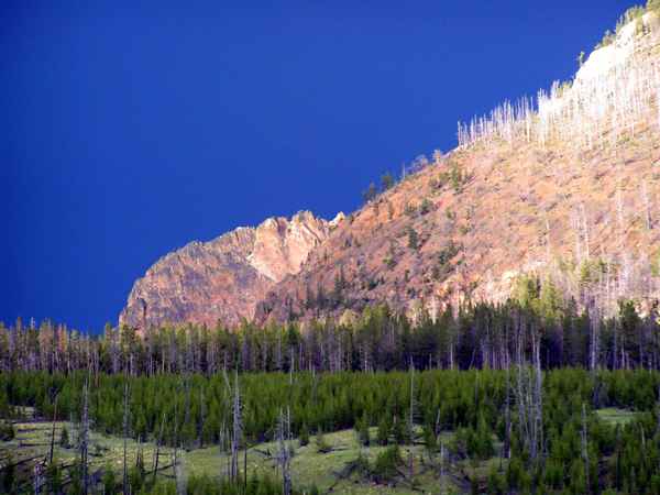 Yellowstone Nationalpark 23