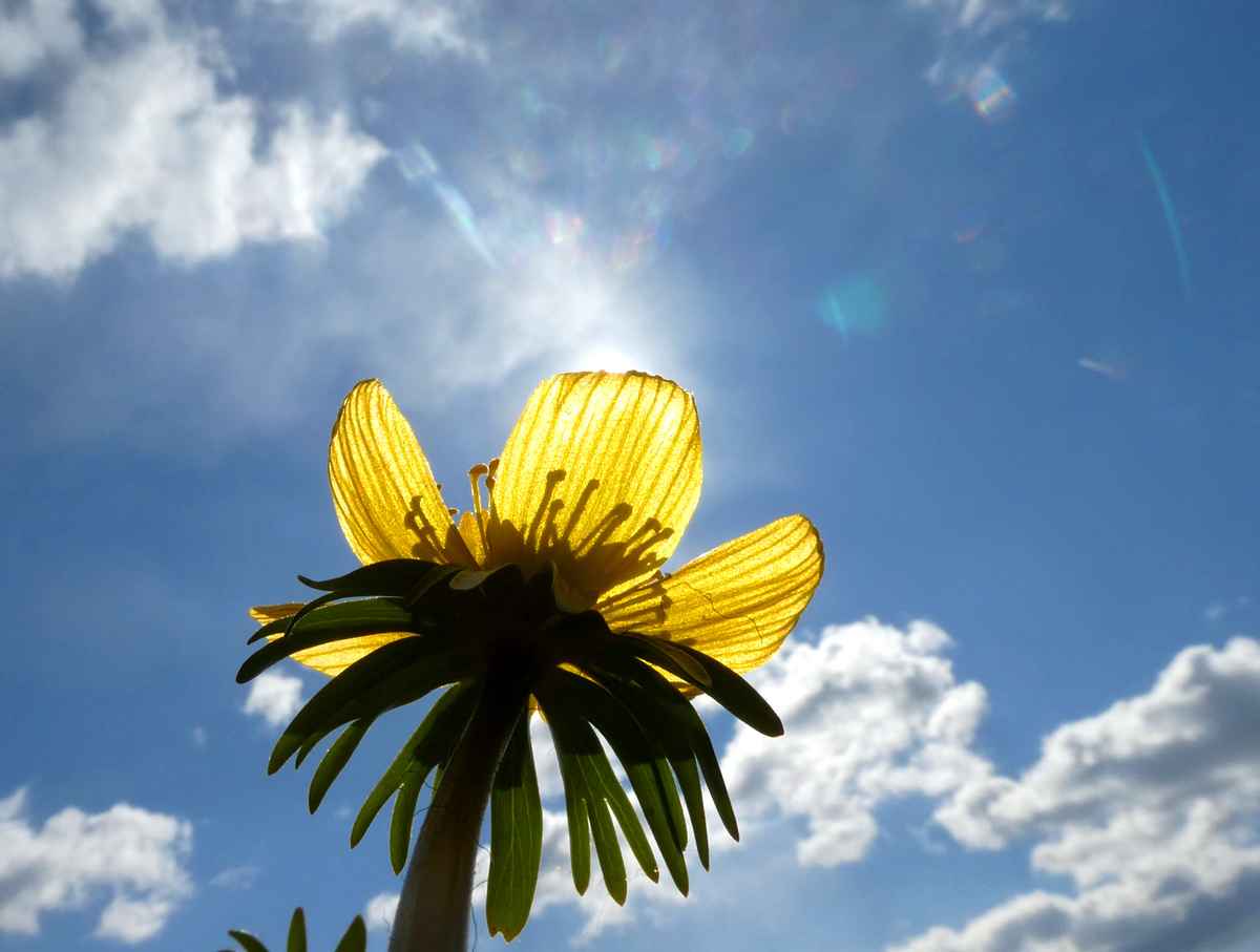 Endlich Frühling