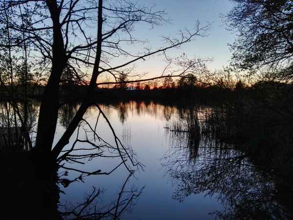 Ein besonderer Blick