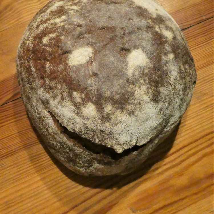 Das lachende Brot