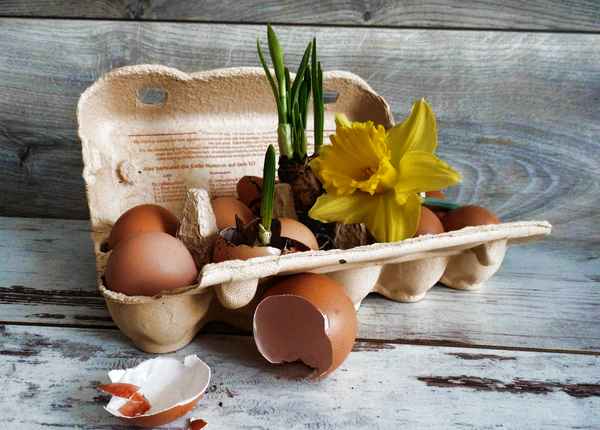 Fremdgänger in der Eierschachtel :-))