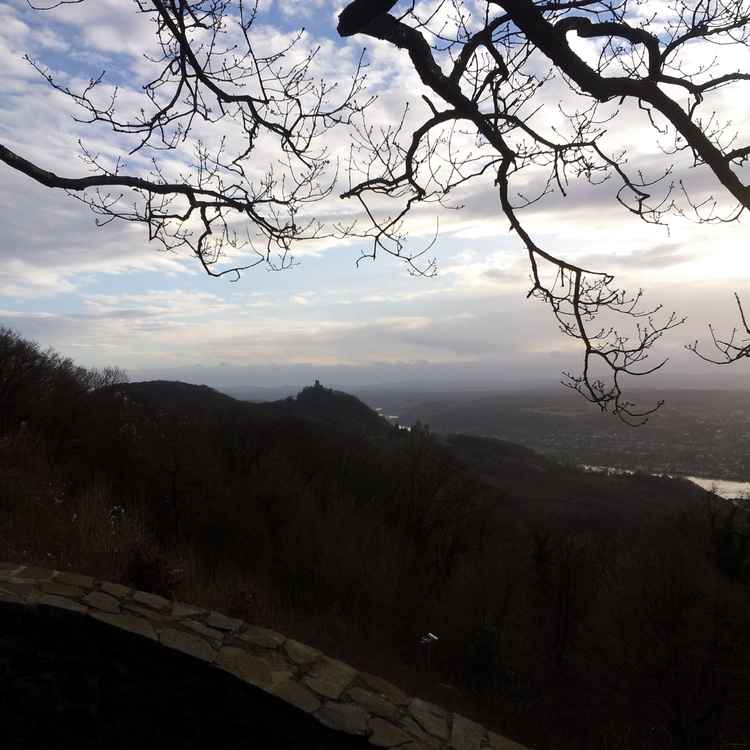Blick vom Petersberg