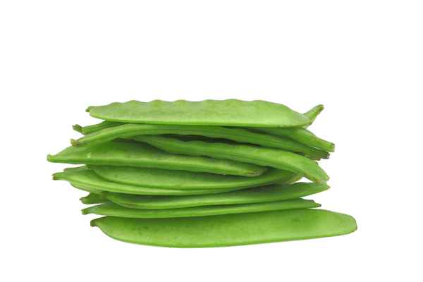 Zuckerschoten 3