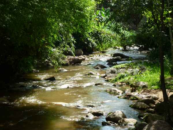 Fluss in Thailand / Foto: Alexander Hauk