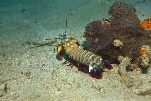 Ich kann auch nach hinten gucken