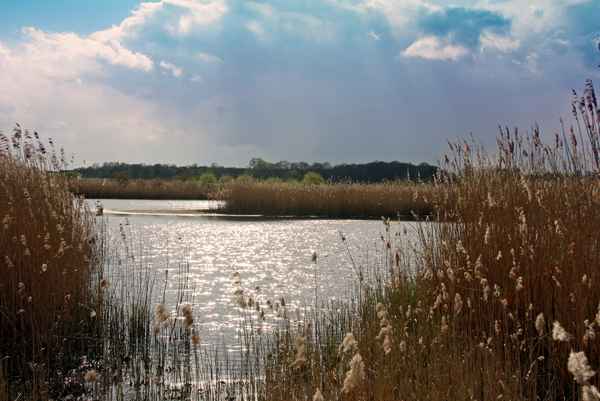 Aufziehendes Unwetter am See