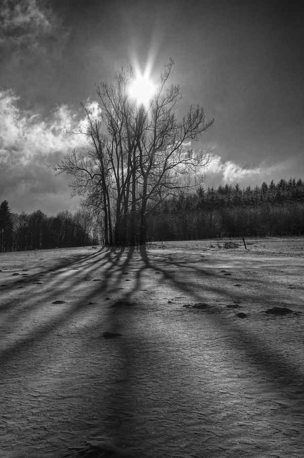 Winterlandschaft