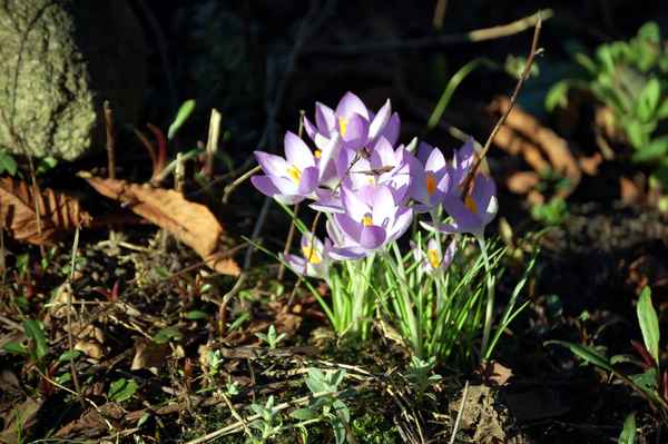 ...sie sind wieder da ...