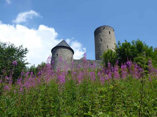 Nürburg im Sommerflor
