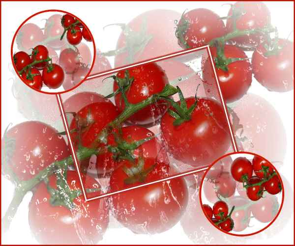 Tomato-Tomato