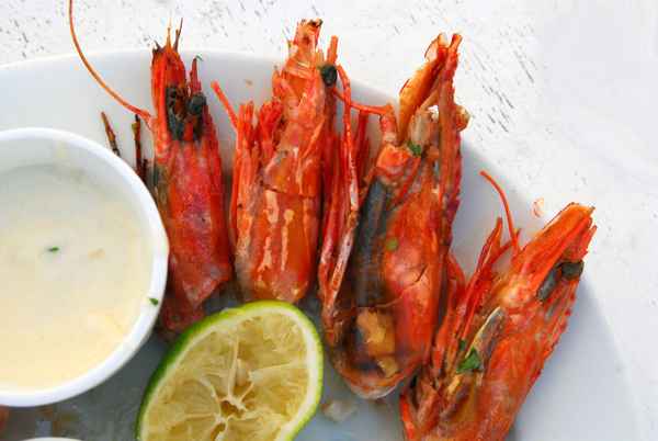 Scampis delikat - frisch aus dem Meer