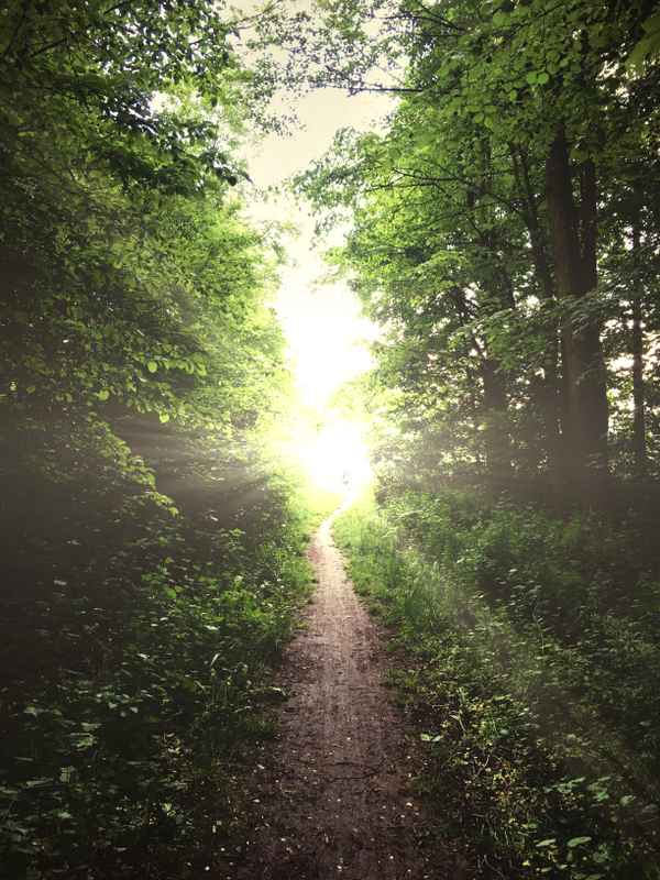 Licht am Ende des Weges