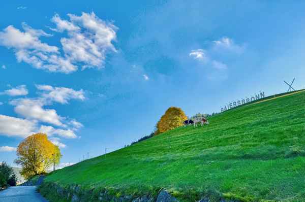 Viehweide mit Baiersbronn-Logo_2