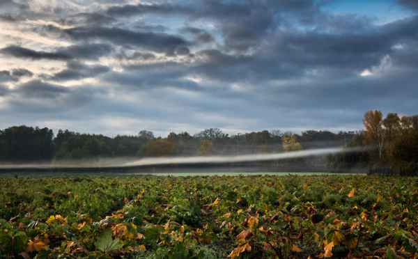 Herbstwetter