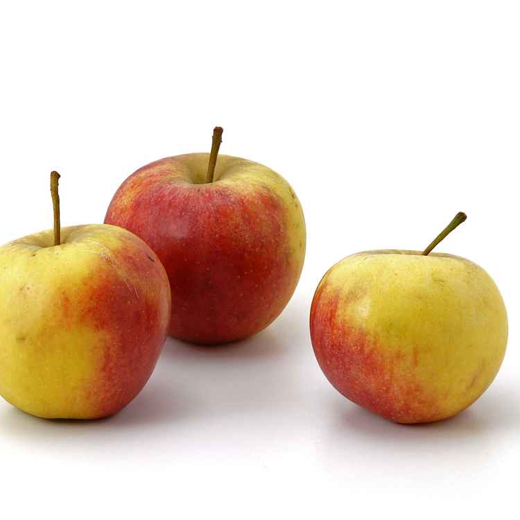 Äpfel