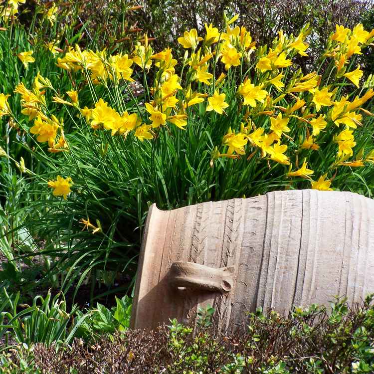 Antike Vase vor Blumen
