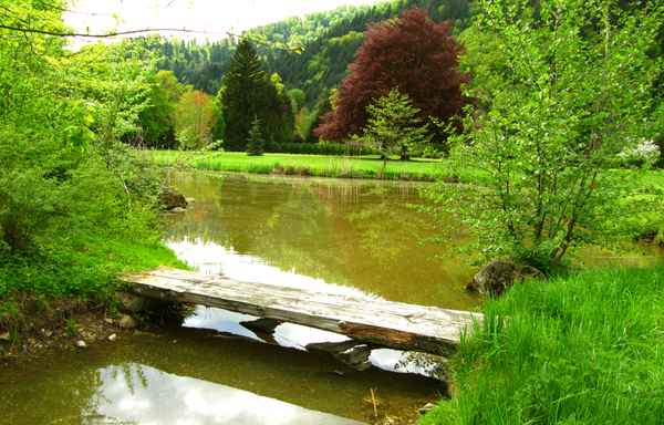 Naturfarben im Frühjahr