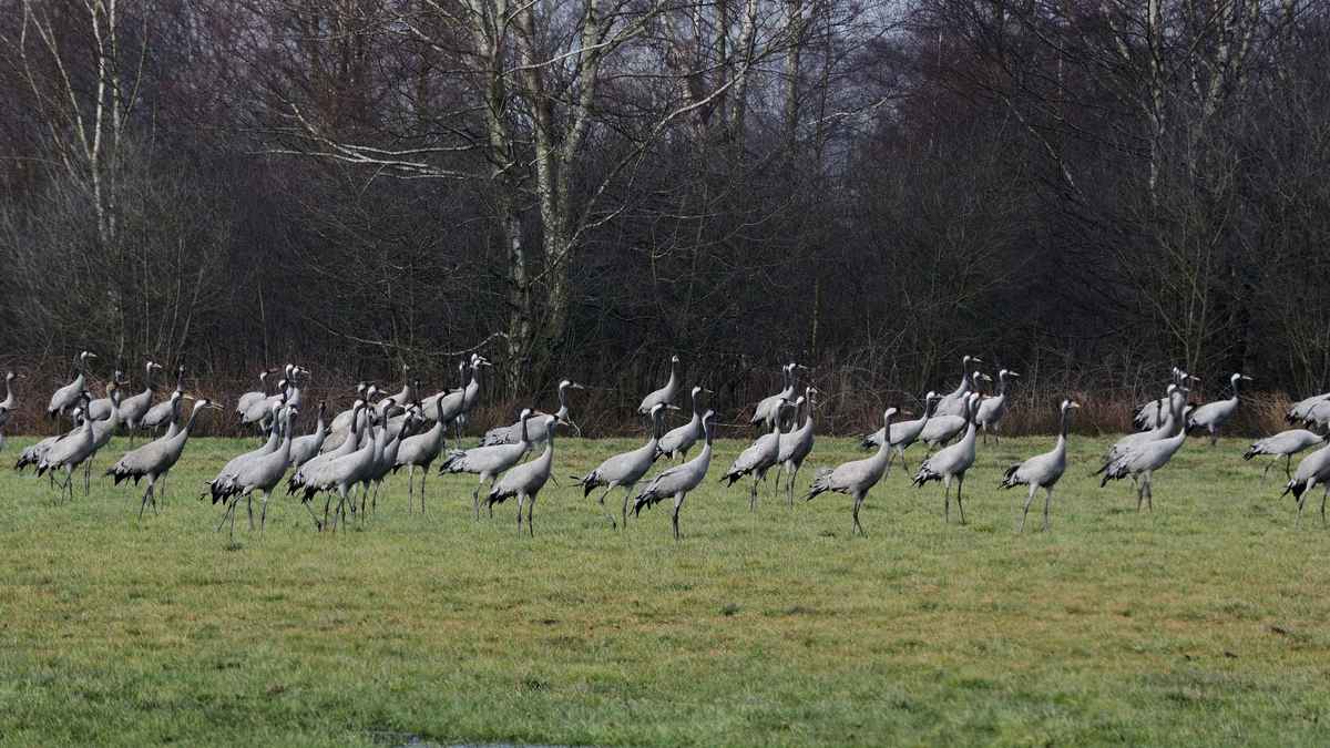 startaufstellung