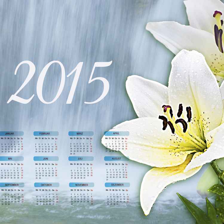 Kalender Lily 2015