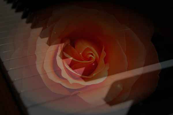 Liebe ist .... es mit Musik zu sagen