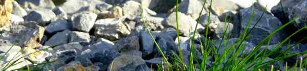 Banner Stein 2