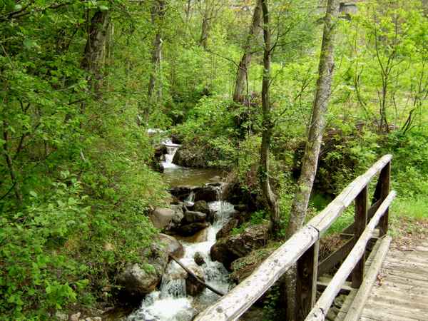 kleiner Wildbach mit Brücke