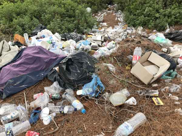 Willde Müllkippe im Wald / Foto: Alexander Hauk