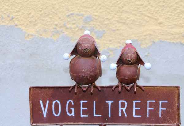 Vogeltreff