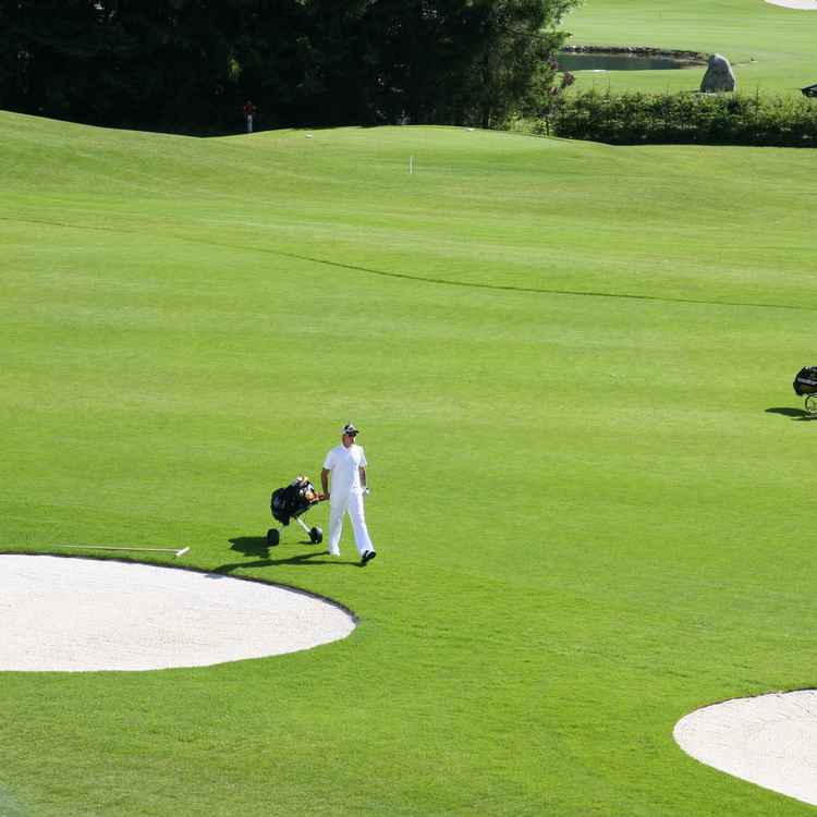 Golfer im Gleichschritt