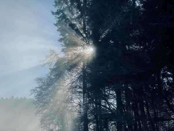 Nebel mit Sonnendurchbruch