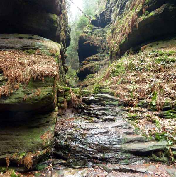 Felsen auf dem Malerweg in den Elbsandsteingebirge