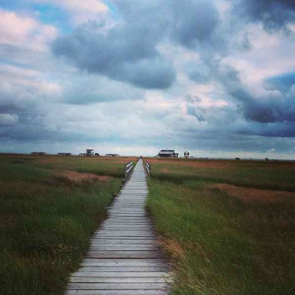 Der Weg zum Meer