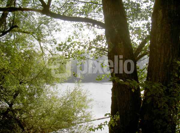 See in Neuhaus