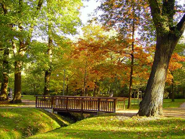 Herbst im Park