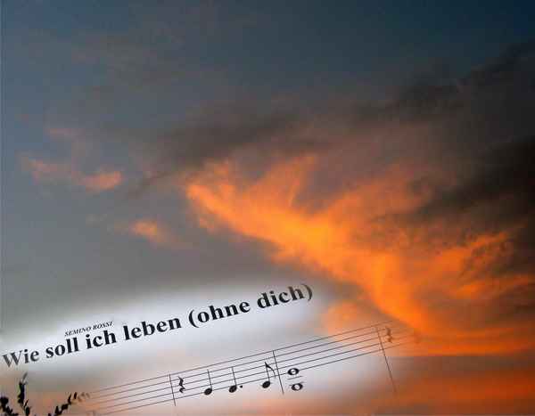 Wie soll ich leben...