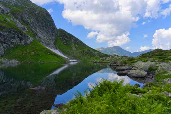 Frisch und klar