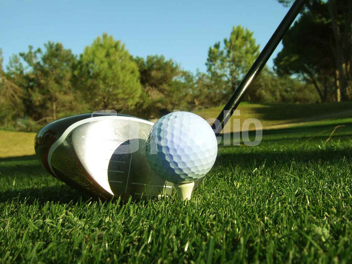 Golfschläger Driver, quer_2