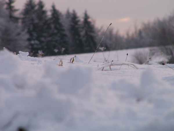 Es hat geschneit!