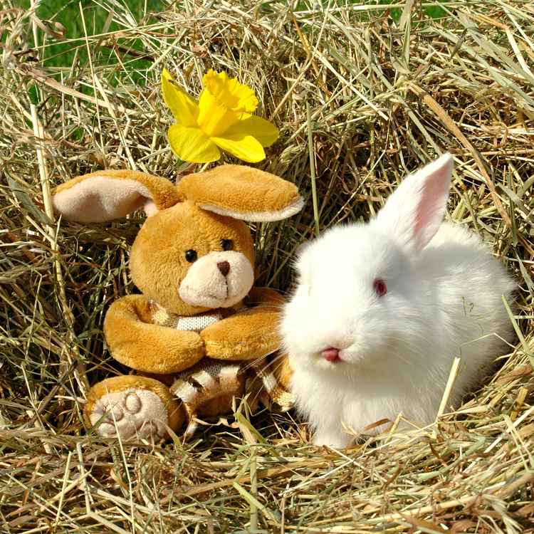 Ätsch, ich hab Feierabend!