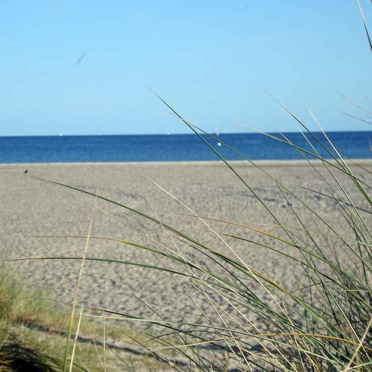 Fehmarn Strand