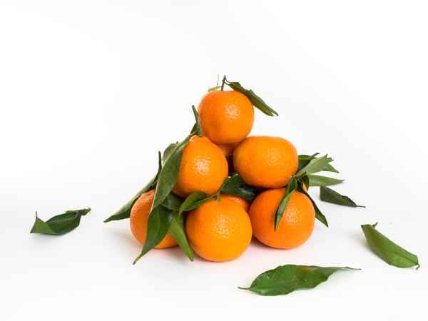 Mandarinen 4